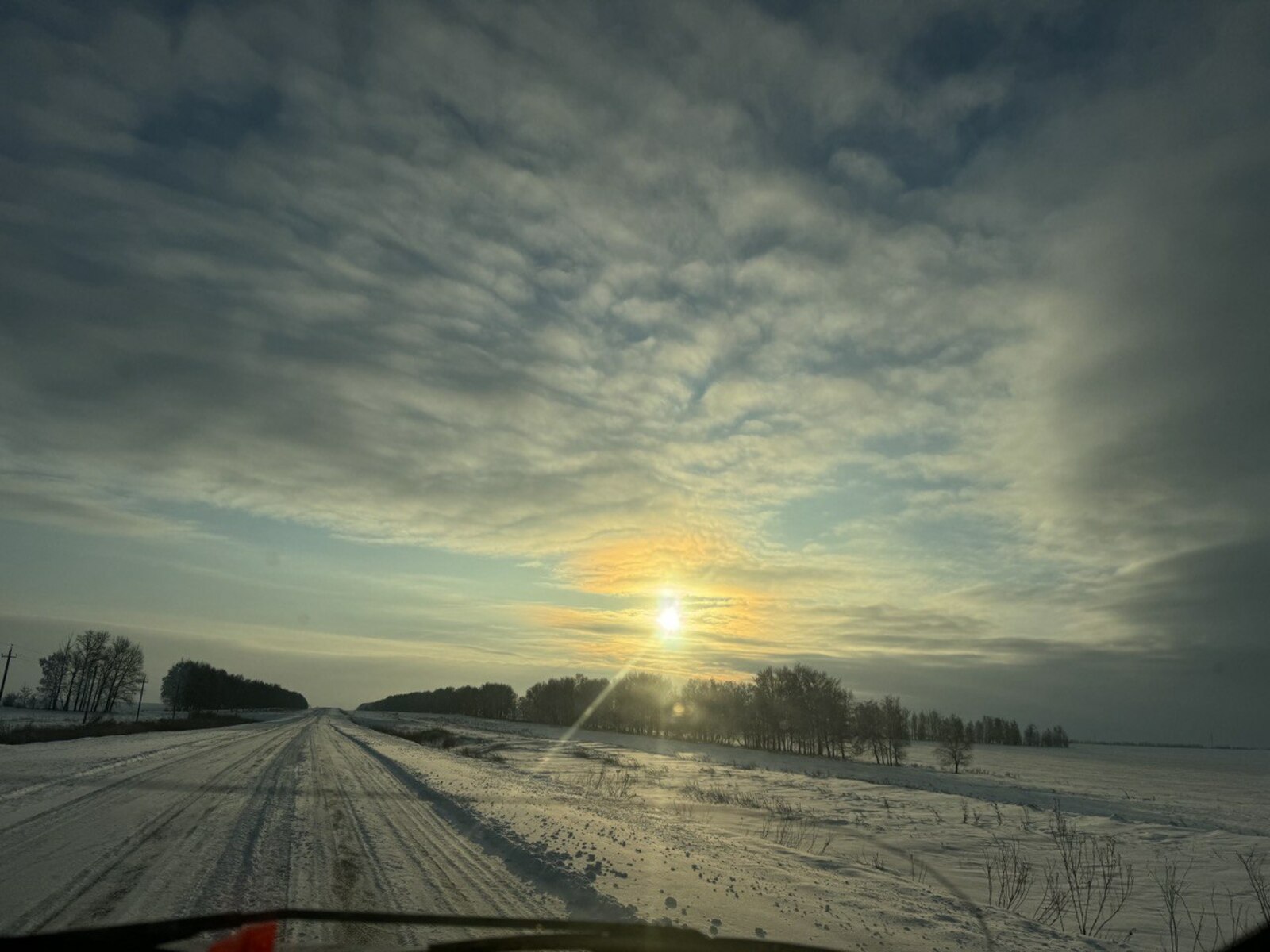 Фото Л. КАНТИМЕРОВОЙ.