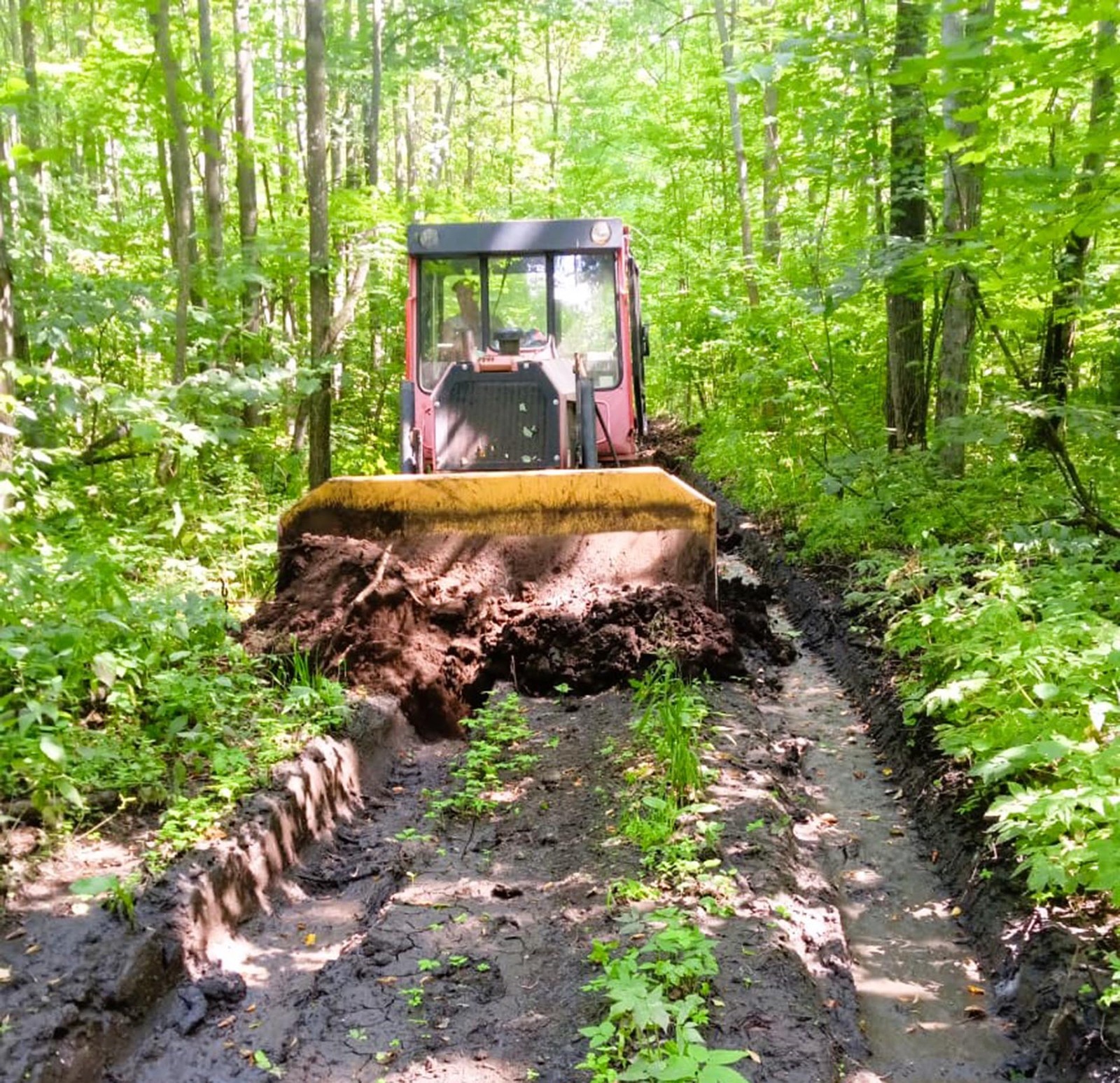 В Башкирии создали и реконструировали более 240 км лесных дорог