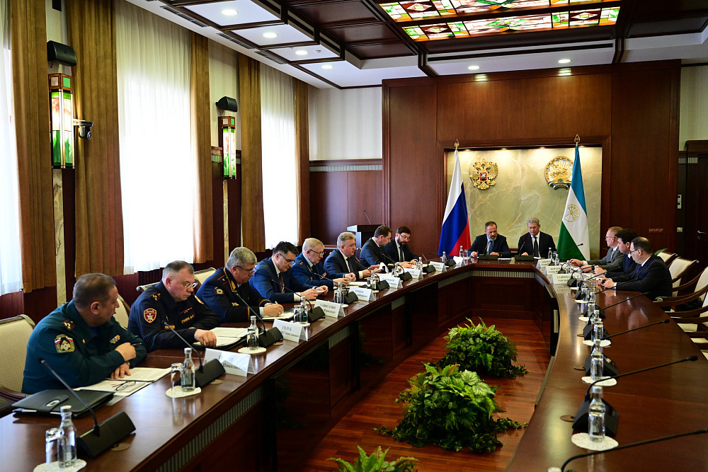 Встреча с полномочным представителем Президента России в ПФО Игорем Комаровым