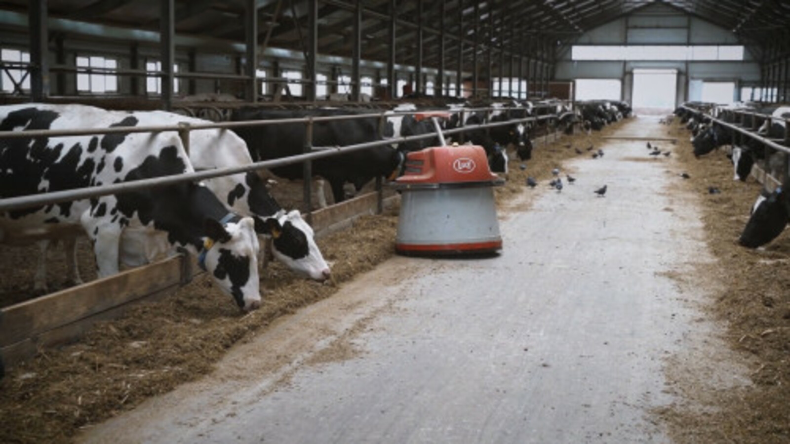 Сельхозпредприятия с крупными инвестпроектами в 2022 году произвели треть молока в Башкирии