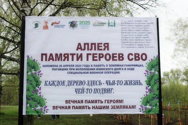 В Гафурийском районе заложили "Аллею памяти героев СВО"