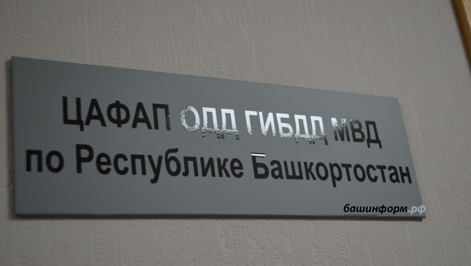 ФОТО: КСЕНИЯ КАЛИНИНА | ИА БАШИНФОРМ