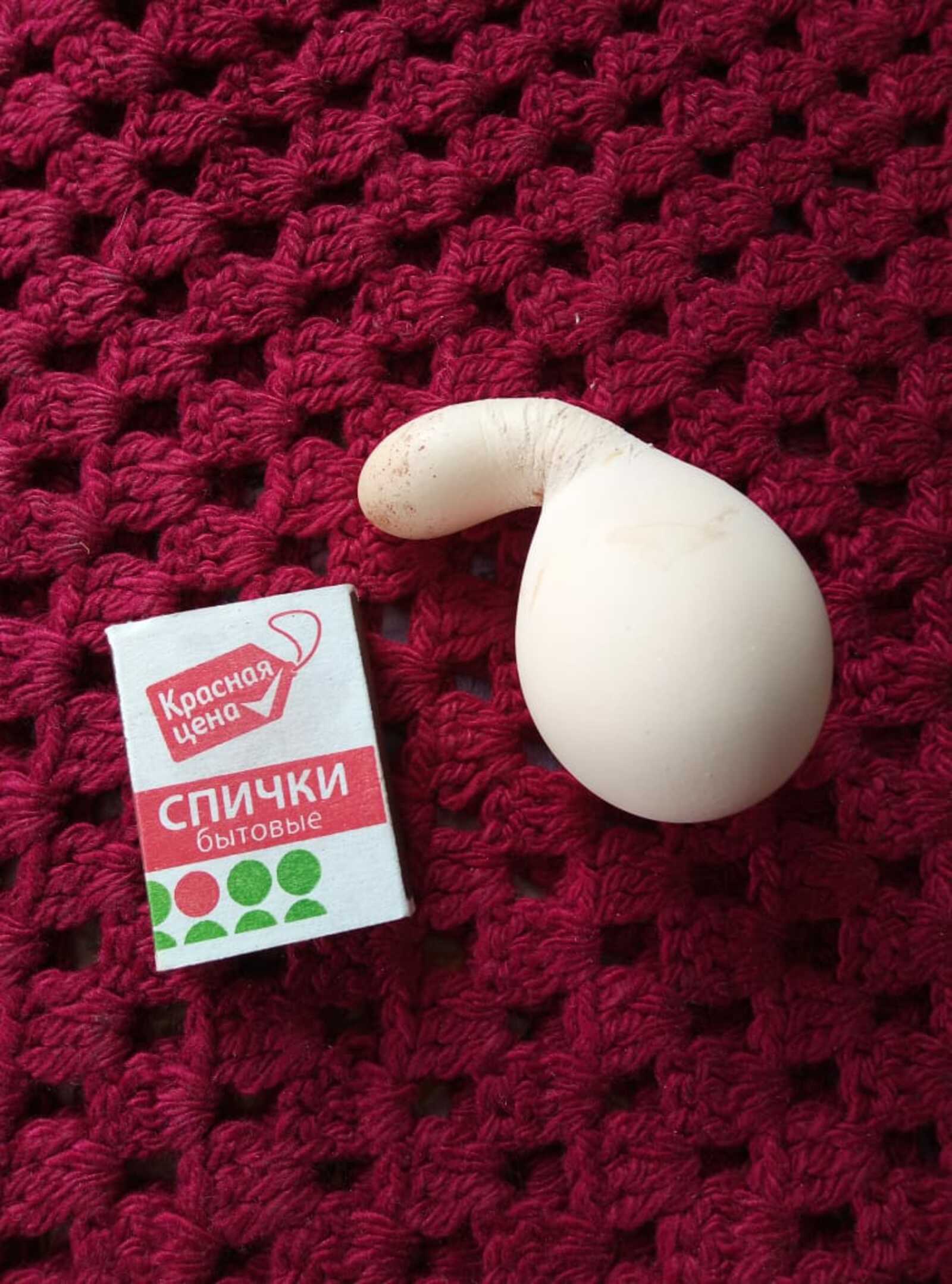 В Денискино куры снесли яйцо необычной формы
