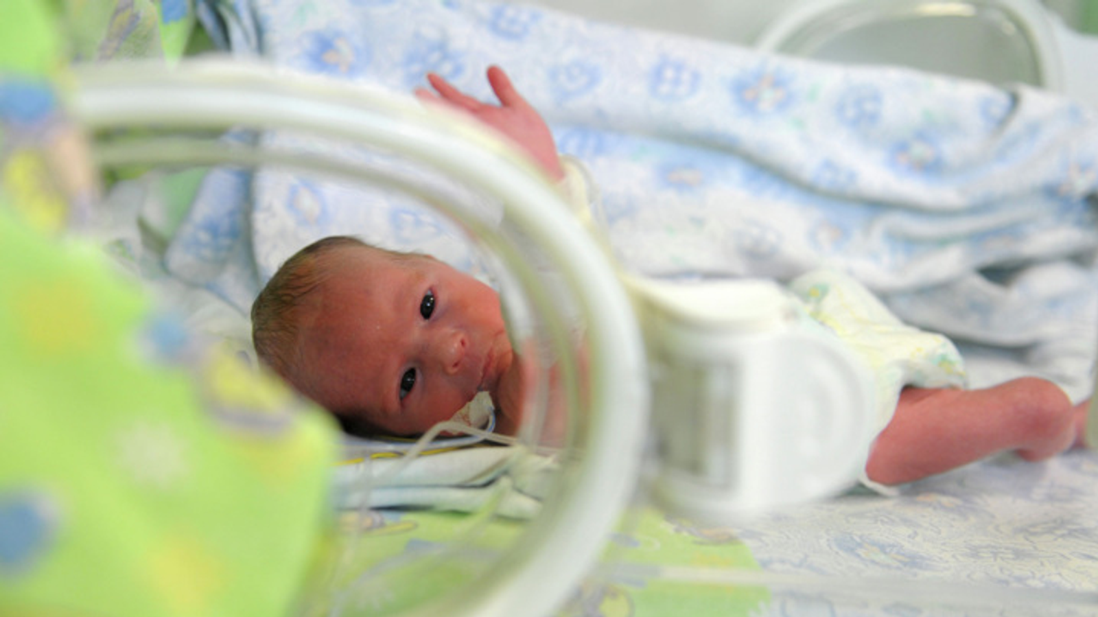 Путин назвал приоритетом улучшение демографической ситуации в РФ