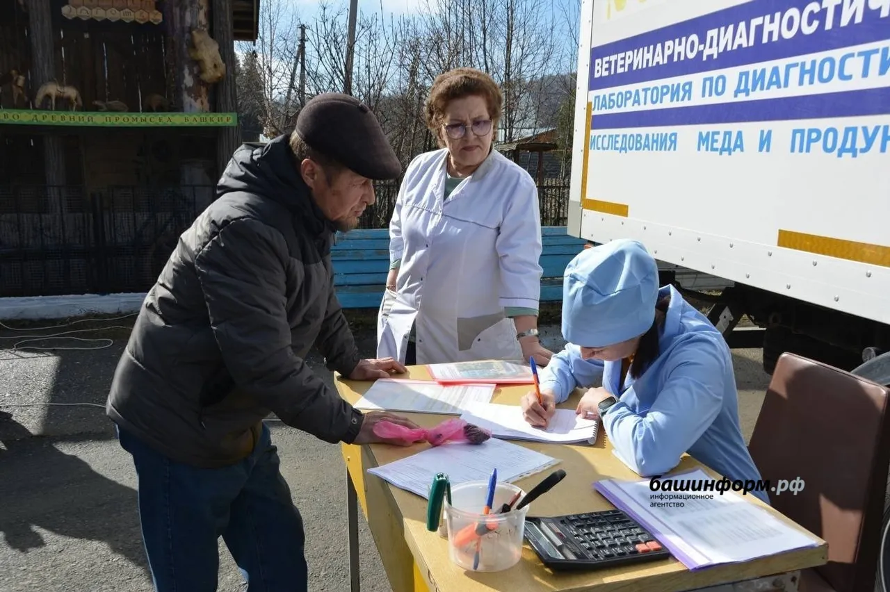 В Башкирии поддержат «медовую» отрасль