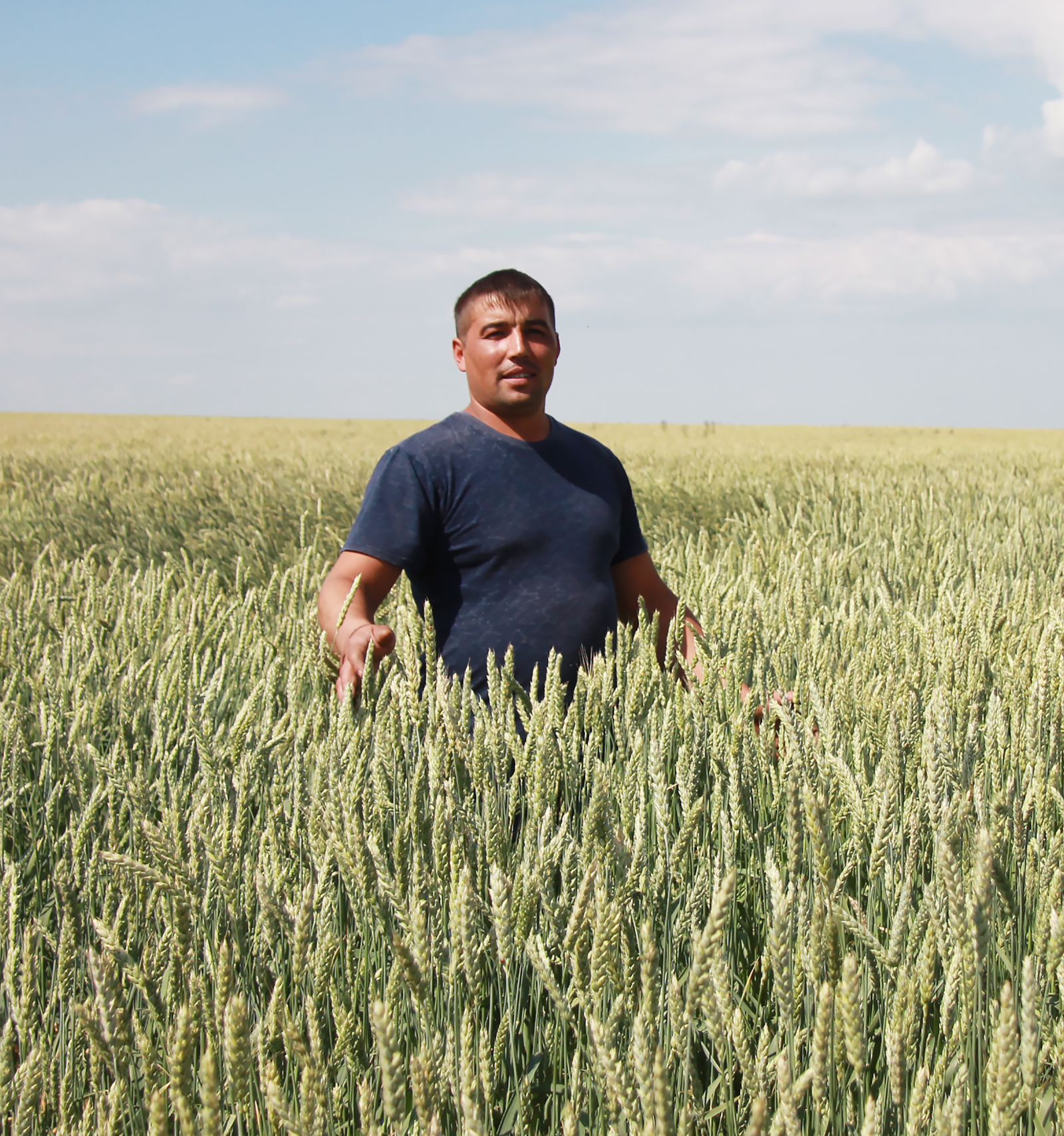Производителям зерна из Республики Башкортостан в 2022-2023 годах выделят 1,15 млрд рублей федеральных субсидий