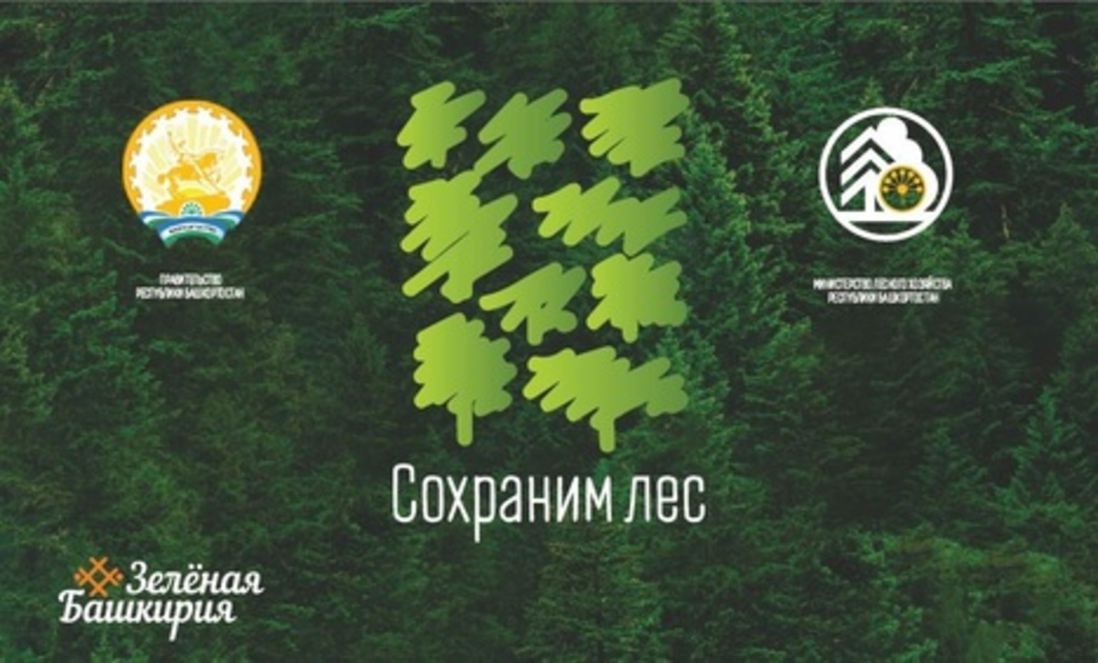 В рамках Всероссийской акции «Сохраним лес» башкирские лесоводы высадят 300 тысяч новых деревьев