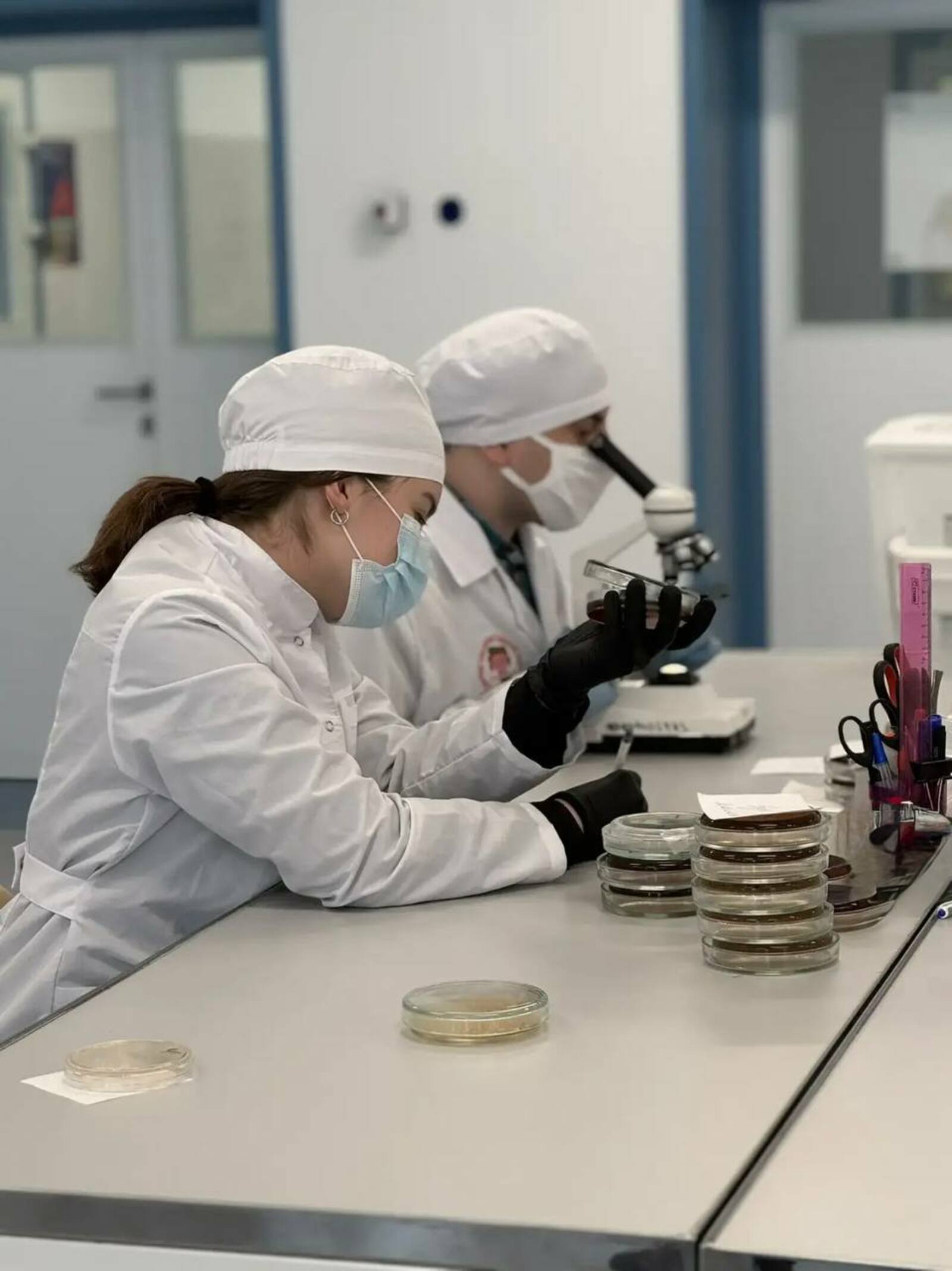 В Межвузовском кампусе создали тест-систему для поиска «бактерии стройности»