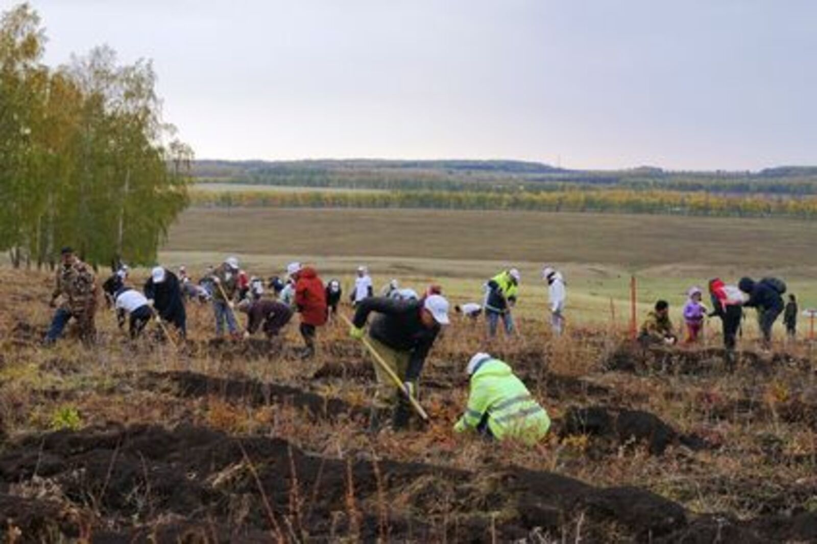 В Башкортостане стартует юбилейный сезон осенней Всероссийской акции «Сохраним лес»