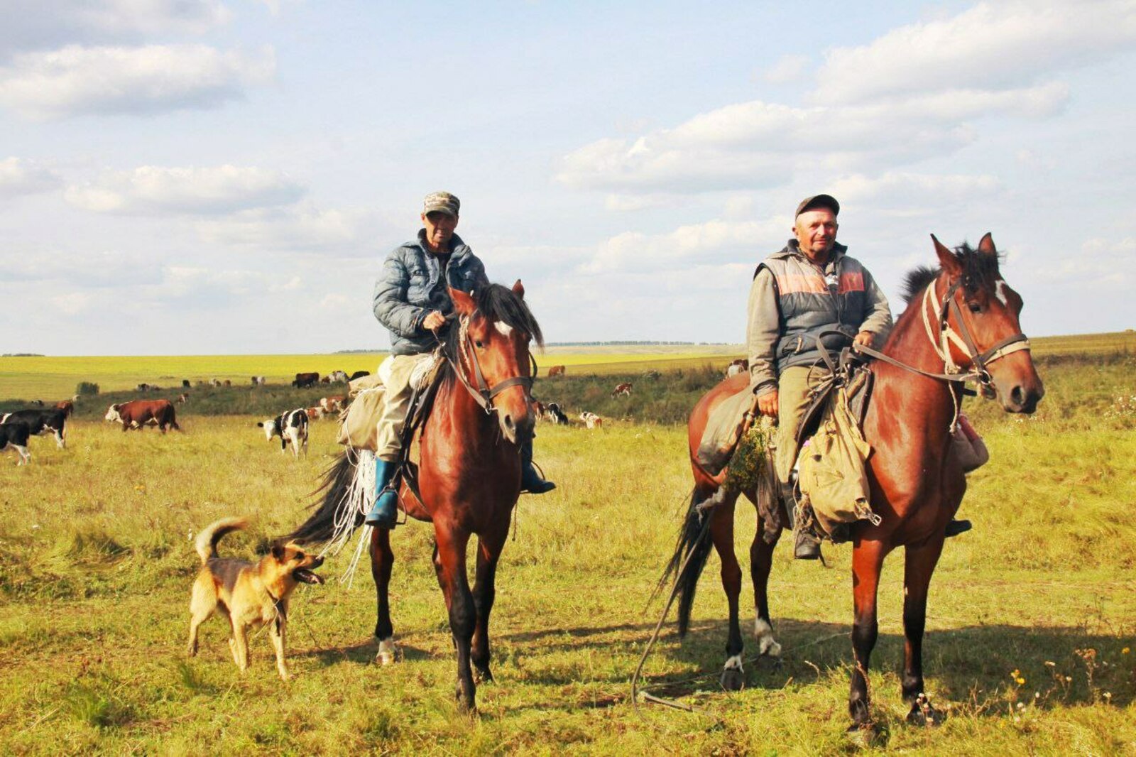 ПРИМЕНЯЮТ НОВЫЕ ТЕХНОЛОГИИ, НО И О СТАРЫХ НЕ ЗАБЫВАЮТ
