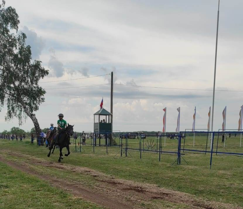 Конные скачки стали гвоздём программы любимого праздника Сабантуй