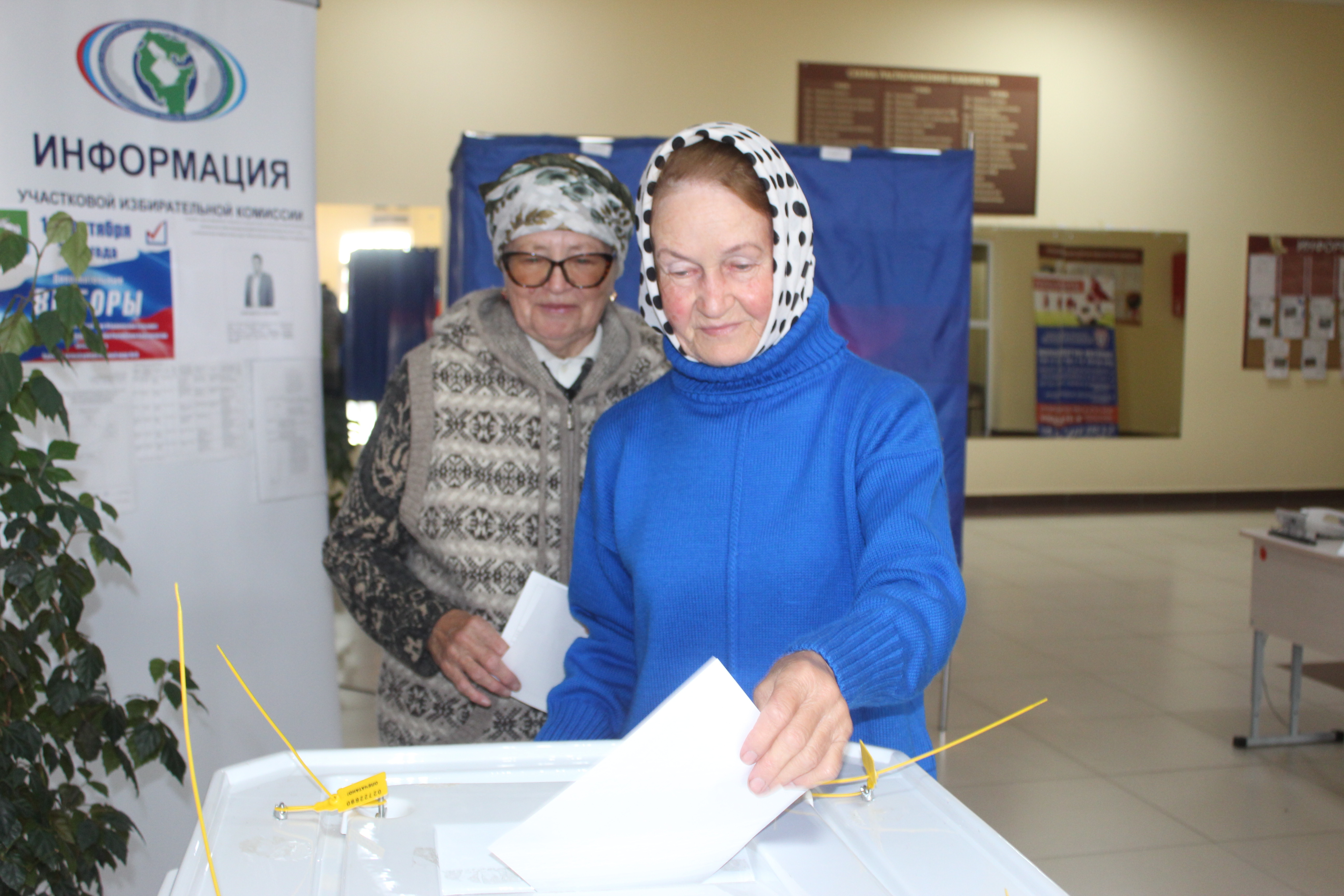 На голосование пришли всей улицей