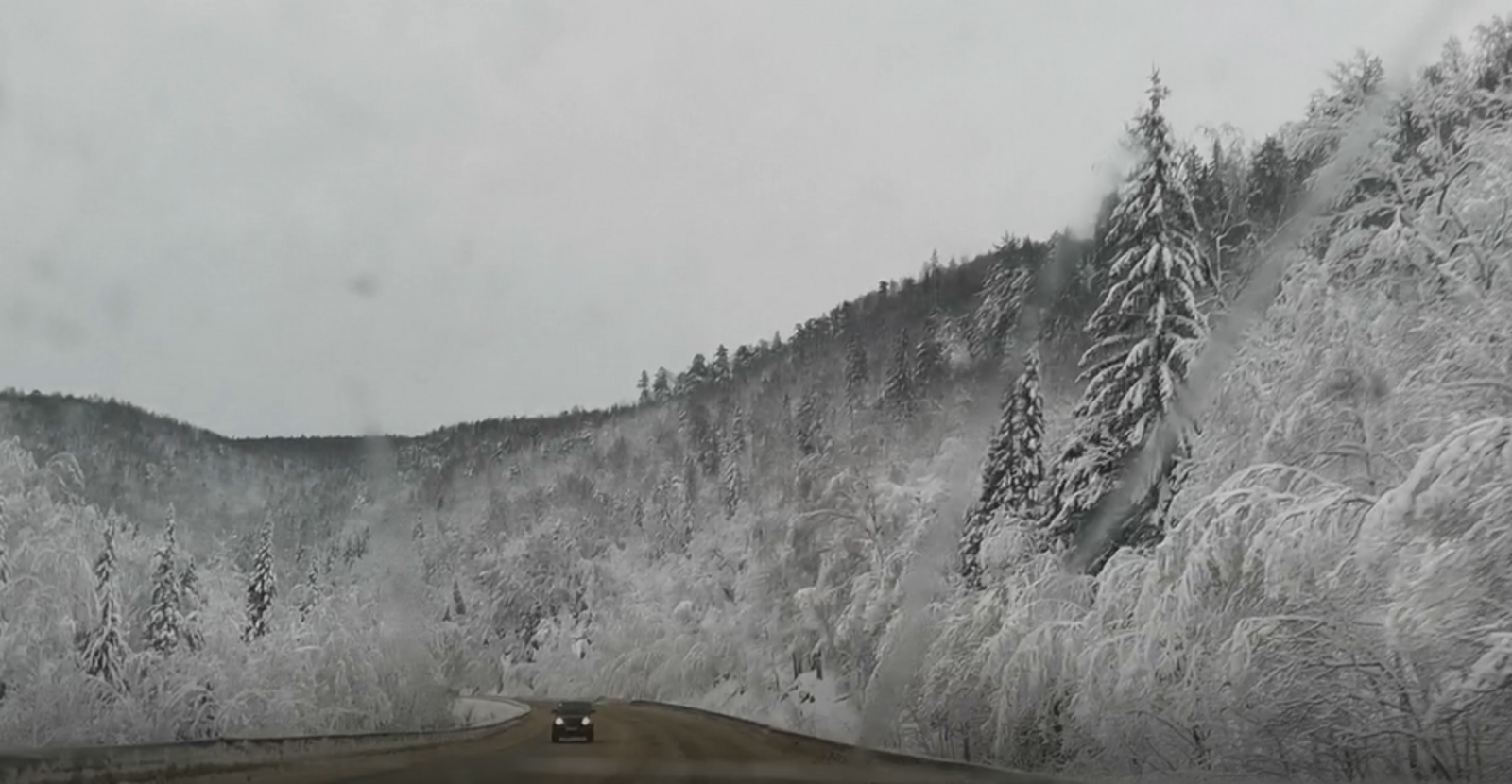 Фото Л. КАНТИМЕРОВОЙ.