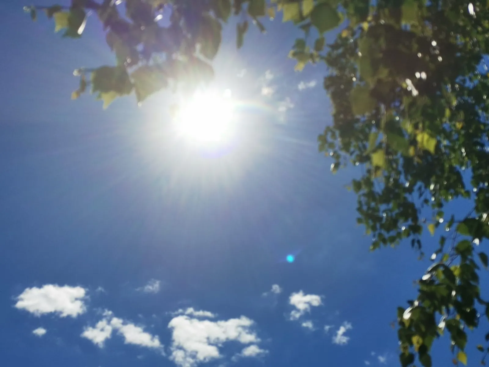 Фото Л. ГАЗИНУРОВОЙ.