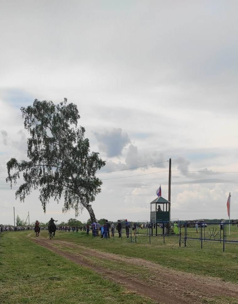 Конные скачки стали гвоздём программы любимого праздника Сабантуй