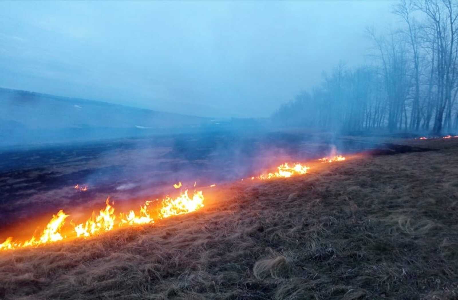 С незапамятных времен самый страшный враг леса – ОГОНЬ!