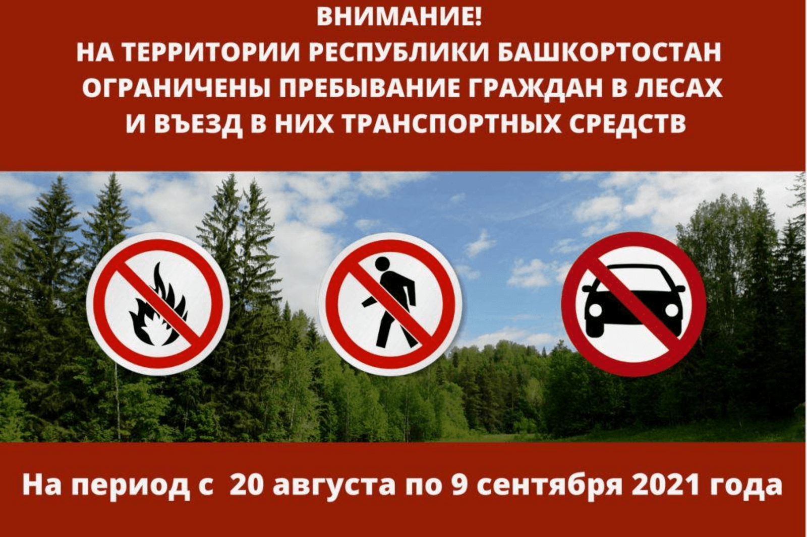 Пребывание граждан в лесах и въезд в них транспортных средств ограничены с 20 августа по 9 сентября 2021 года