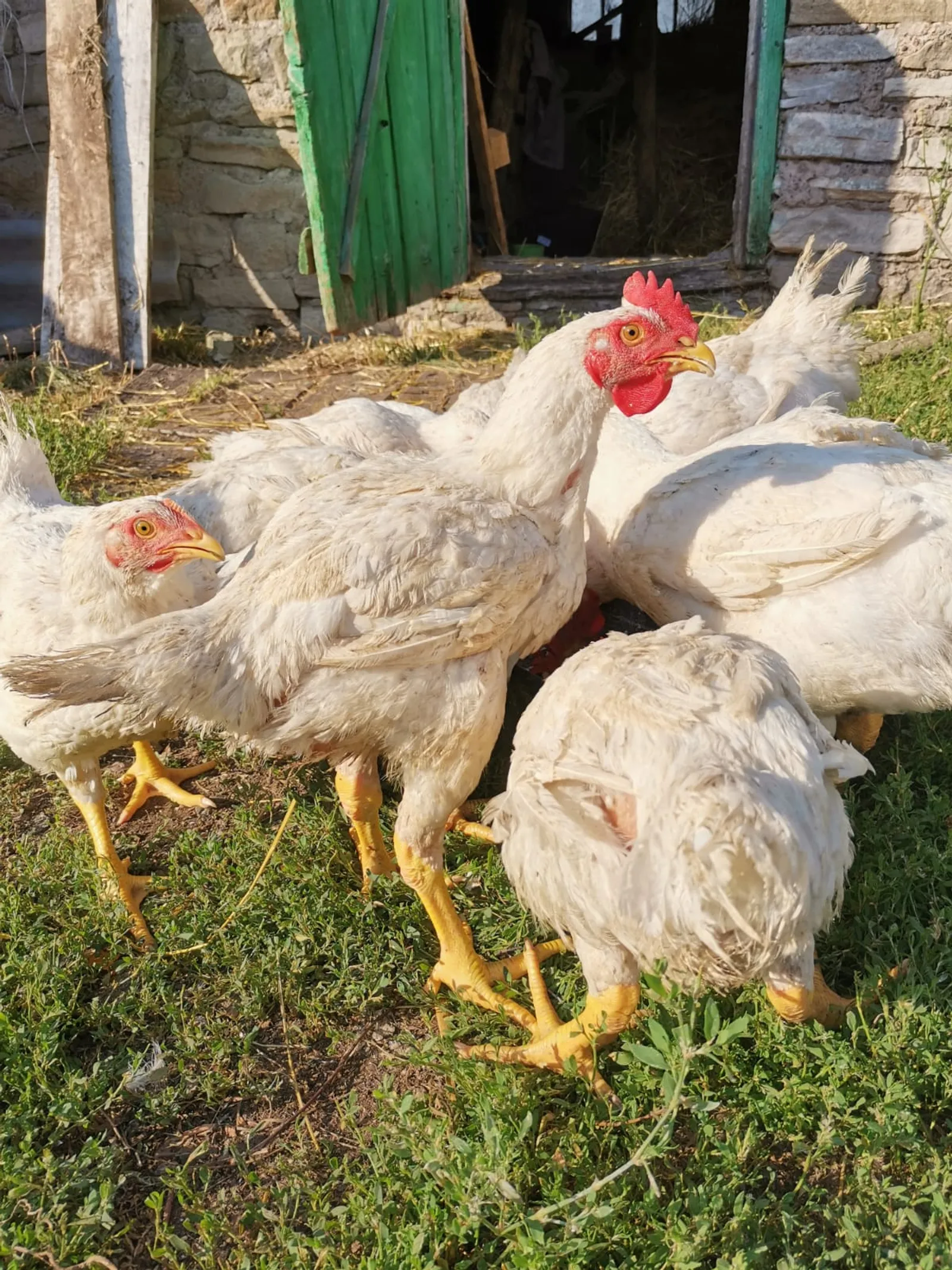 Фото Л. ГАЗИНУРОВОЙ.