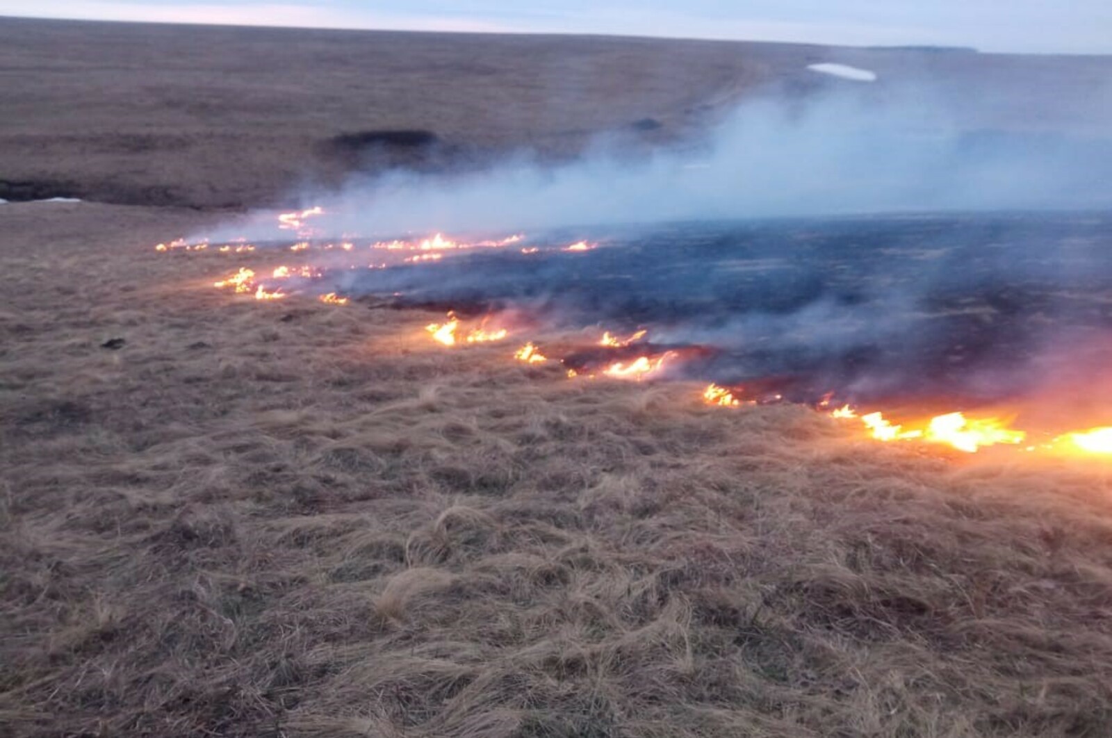 В Башкирии начал действовать особый противопожарный режим