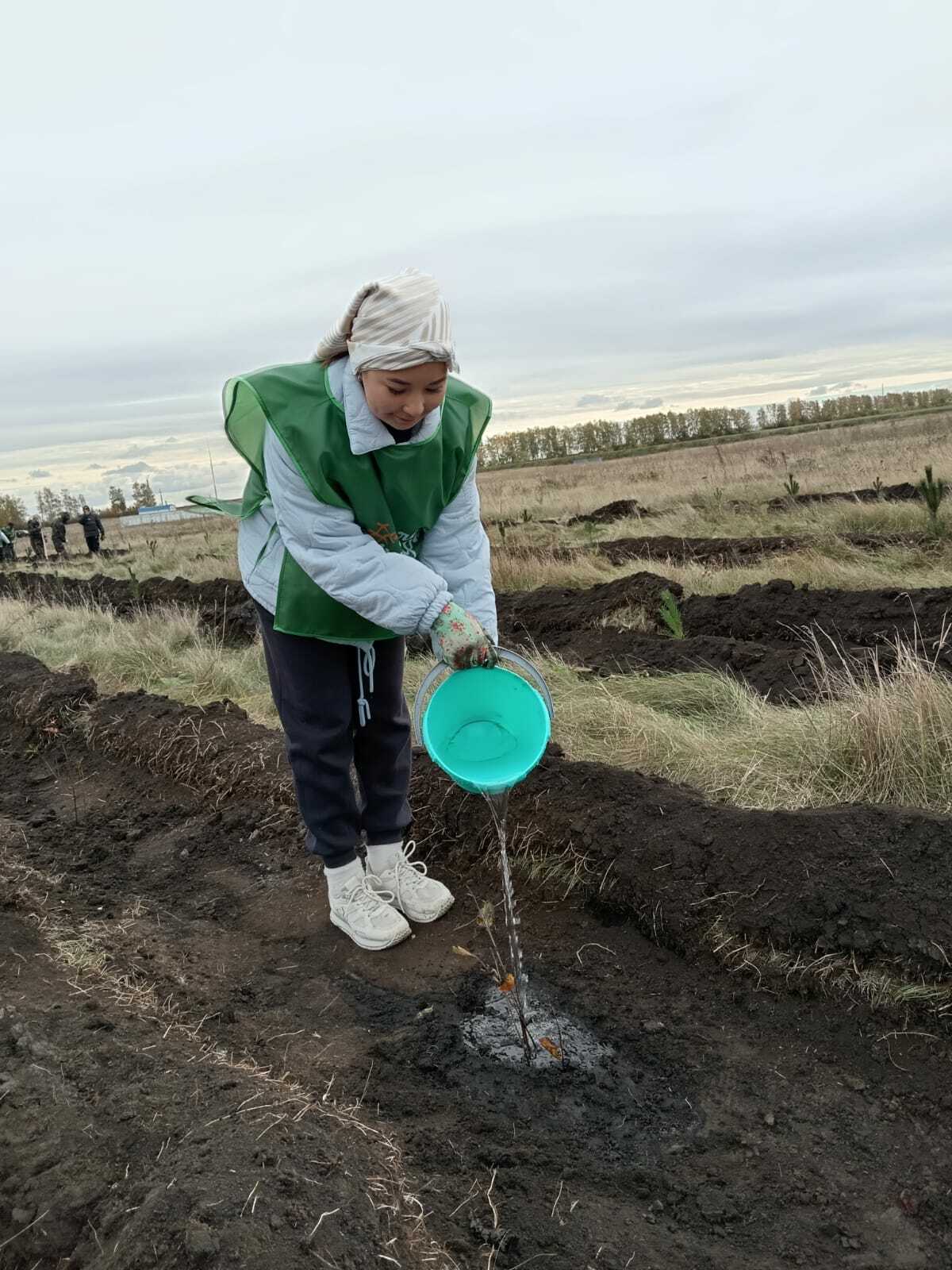 Заложили аллею в честь бойцов СВО