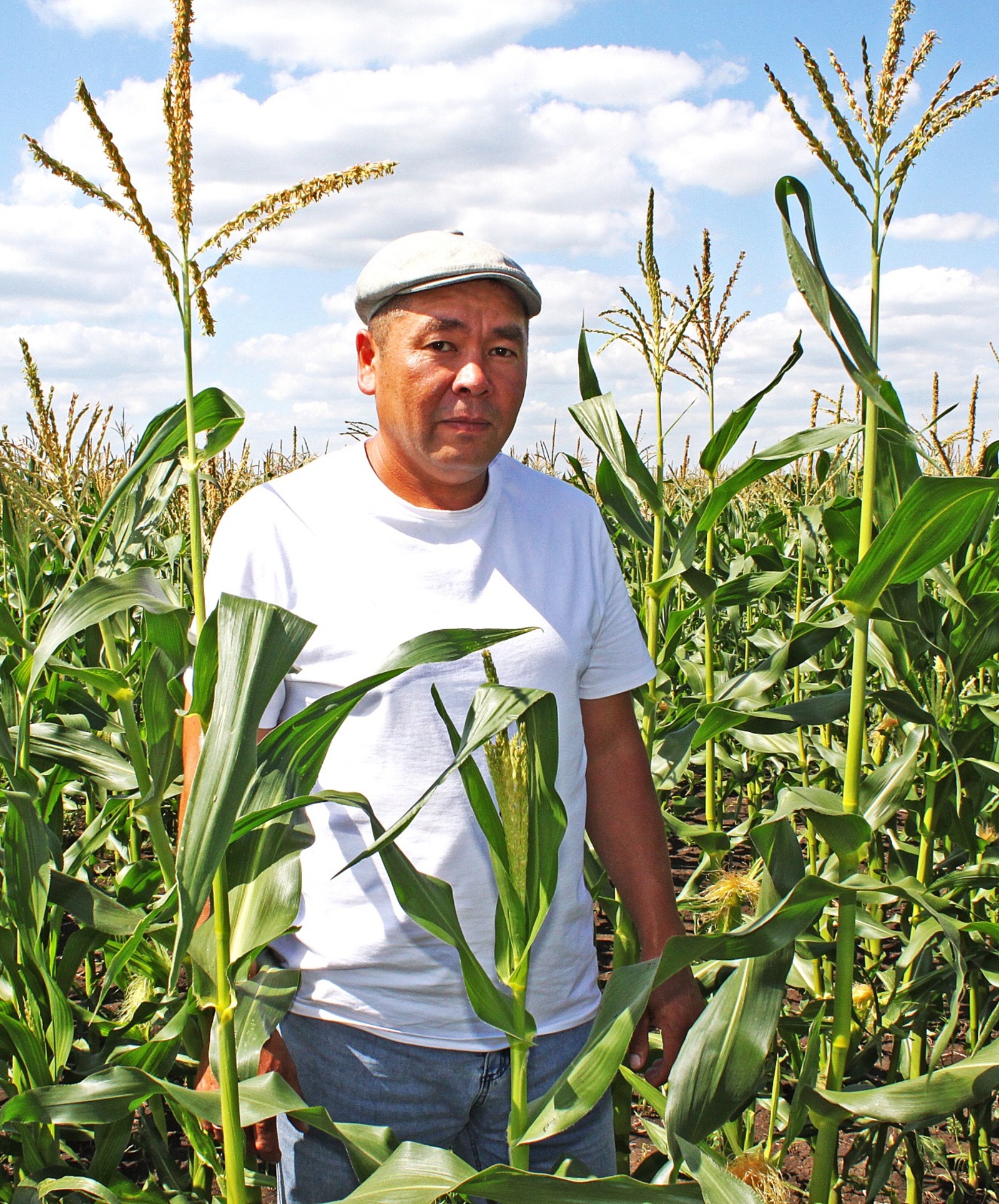 Ильнур Кускильдин уверен, что получит богатый урожай кукурузы.