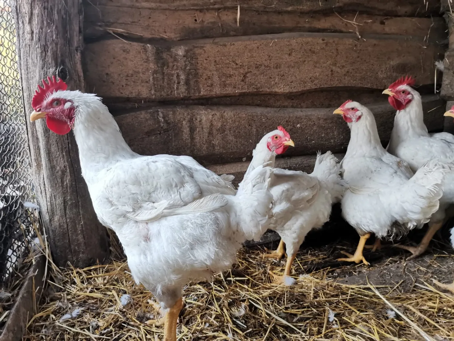 Фото Л. ГАЗИНУРОВОЙ.