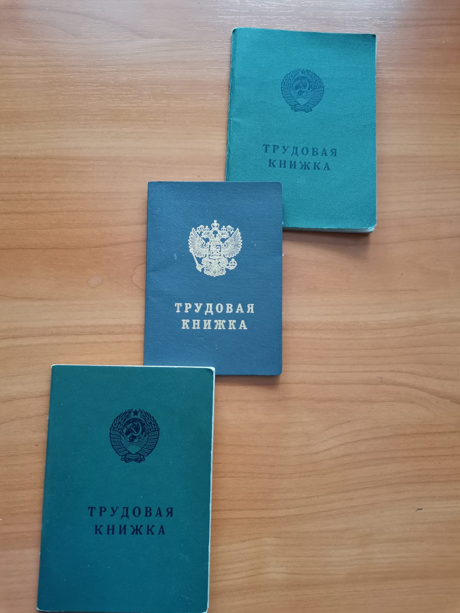 Фото Л. КАНТИМЕРОВОЙ.