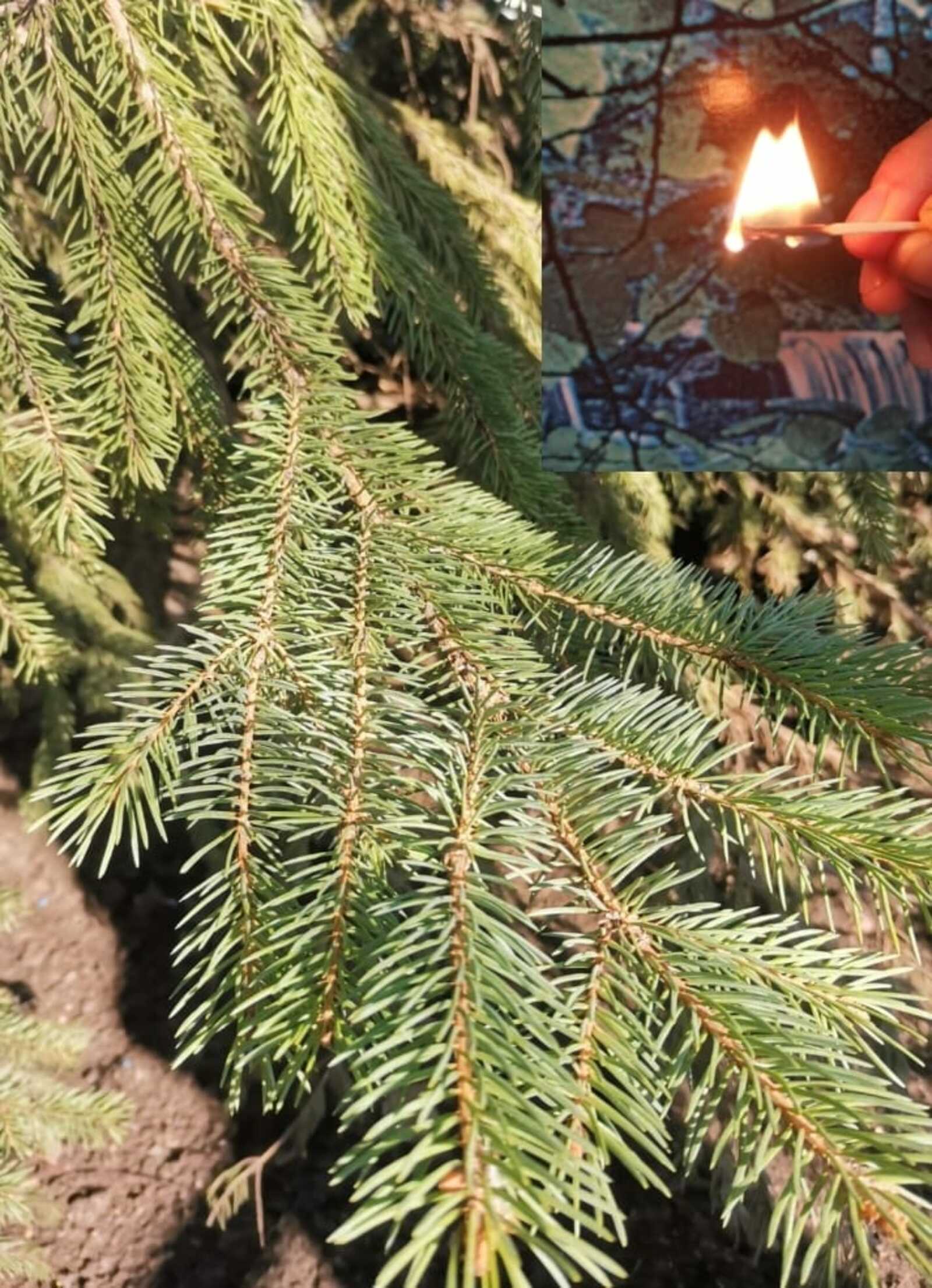 Республика Башкортостан готовится к пожароопасному сезону 2026 года