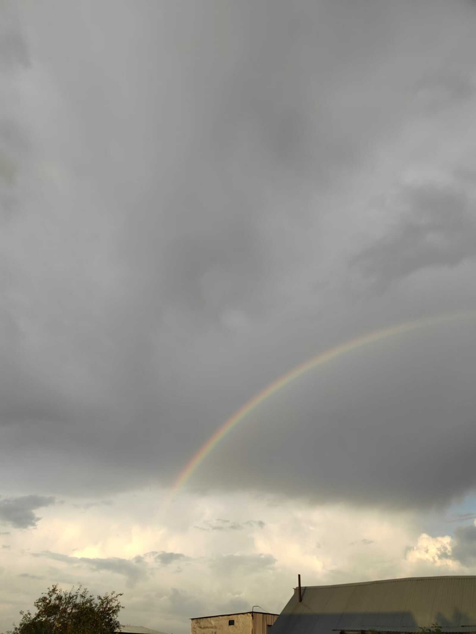 Дожди сменятся жарой