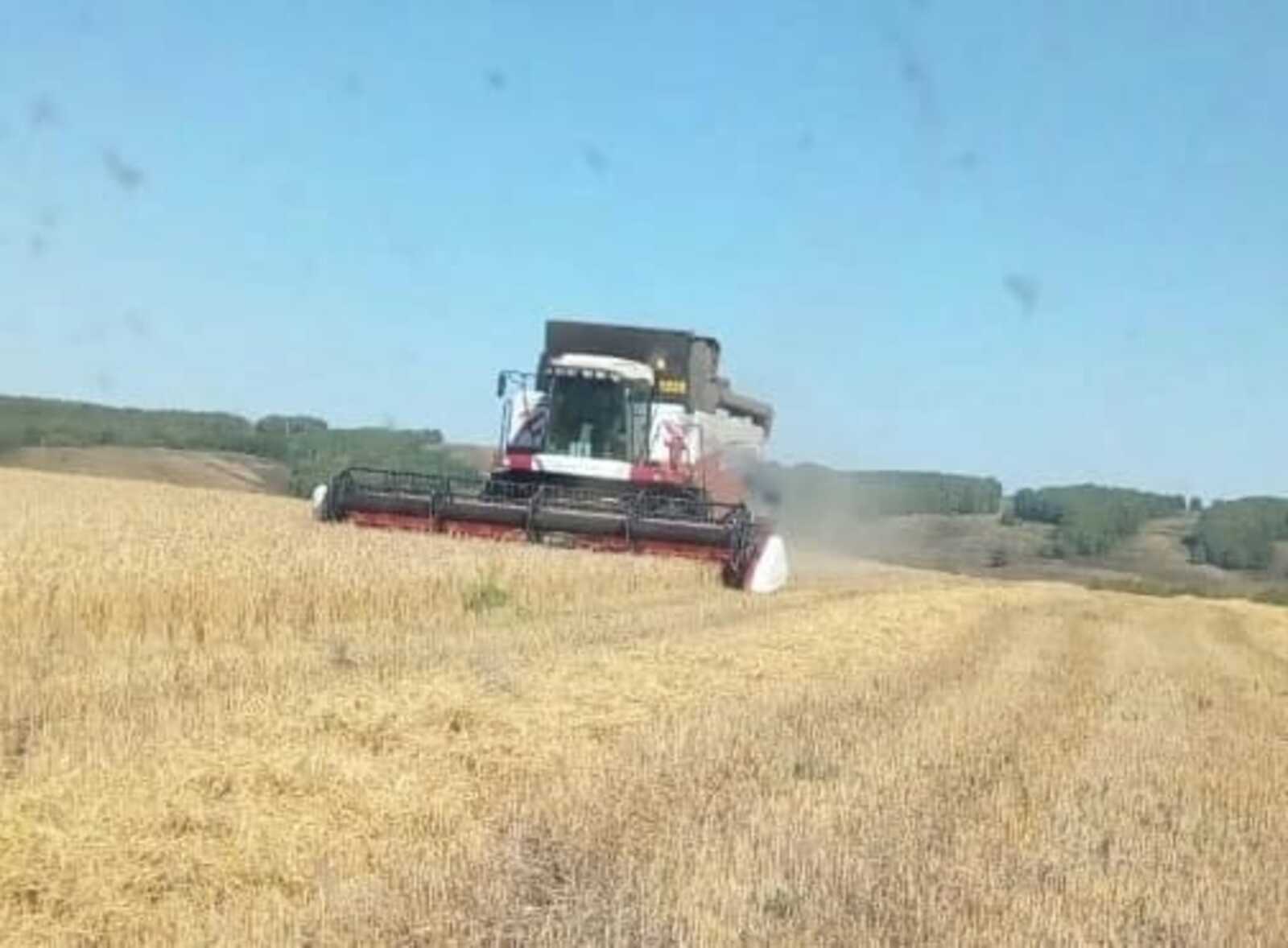 Фото Л. КАНТИМЕРОВОЙ.