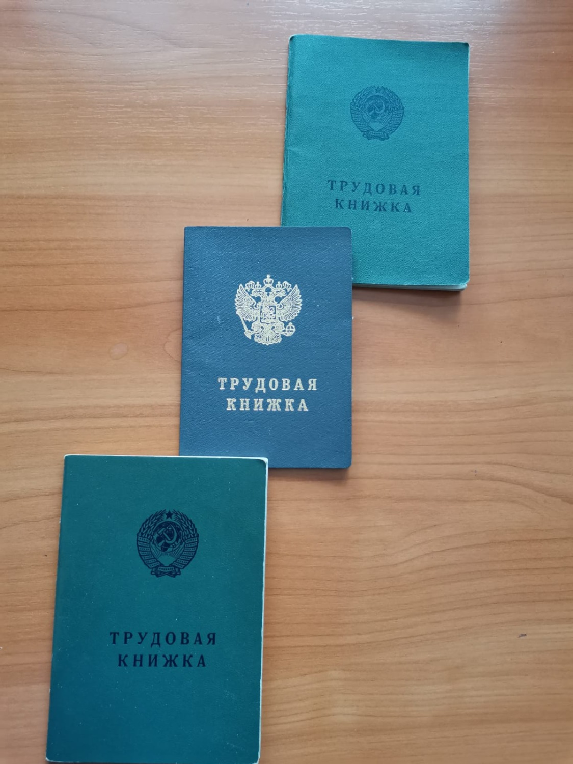 Фото Л. КАНТИМЕРОВОЙ.